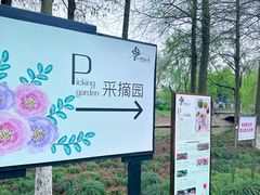 -上海鲜花港