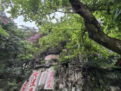 -星湖旅游景区七星岩