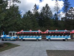 -五营红松林海景区