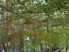 android_upload_pic-华西村