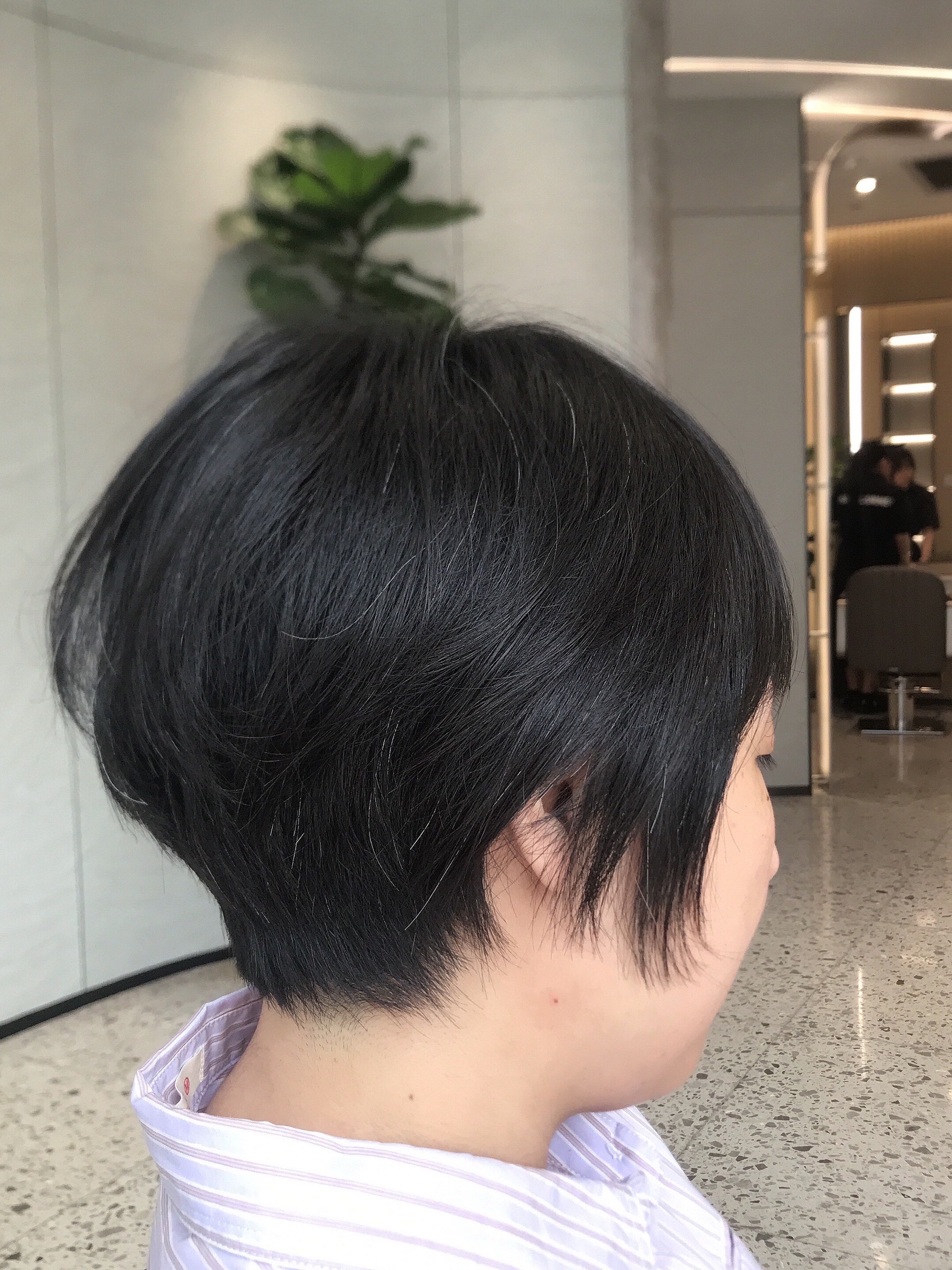 香港haircorner图片