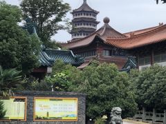-高旻寺
