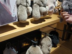 -九木杂物社(新一城店)