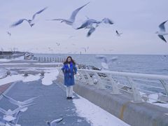 -东疆建设开发纪念公园
