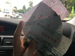 -广州市流溪河国家森林公园