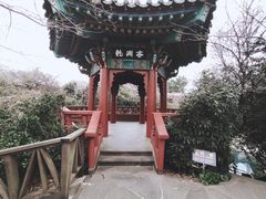 -龙头岩(Dragon Head Rock)