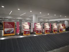 -中部国际机场