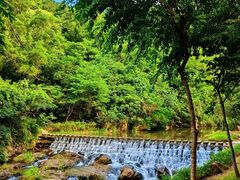 -秦岭天竺山景区