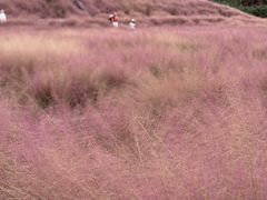 -嘉北郊野公园