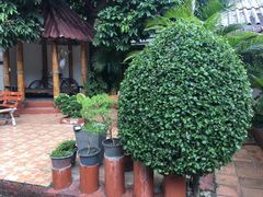 -Barrab restaurant Chiang Rai