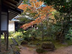 -三千院