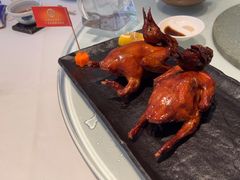 -侨美食家·40年地道粤菜(珠江新城店)