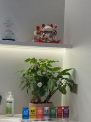 -杭州米兰柏羽医疗美容医院