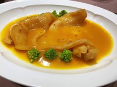 金湯扣整只黃花膠-子福慧(虹桥店)