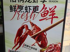 -梧桐
