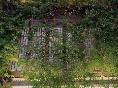 -老门东历史文化街区