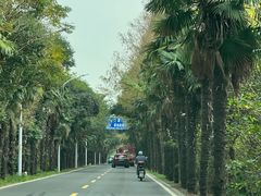 -上海海湾国家森林公园