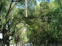 -万泉公园