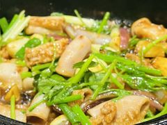 -石岐乳鸽村(南海第三分店)