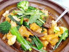 花胶炆蹄筋-六婶西关小厨(光塔路店)