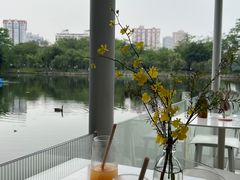 -东山湖公园