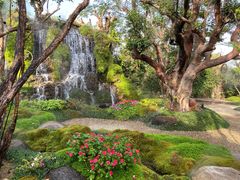 -Chom Cafe and Restaurant