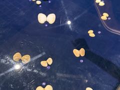 -青岛贝壳博物馆