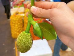 -曼阁市场水果批发市场