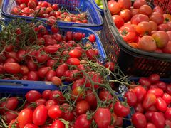 -碧丽宫大酒店(召稼楼店)