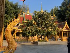 -西双版纳勐泐文化旅游区