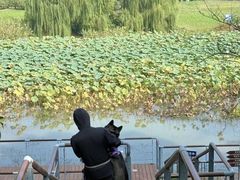 -苏州湾体育公园