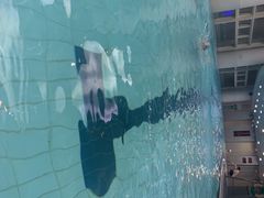 -一兆韦德健身(慧芝湖店)