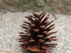 -那琴半岛地质海洋公园