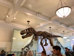 -美国自然历史博物馆