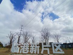 -临港奉贤体育中心