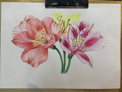 -八哥美术·成人美术画室(总校区)