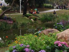 -人民公园(罗湖区)