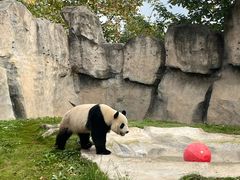 -上海野生动物园