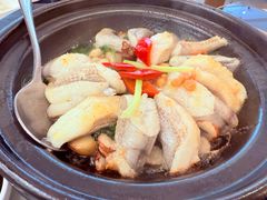 沙姜九肚鱼-神仙馆(衡山路店)