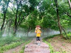 -帽儿山风景区