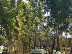-云南师范大学(一二一西南联大校区)