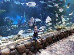 -华夏文旅西安度假区