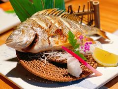 -森味薪火烧•烧鸟居酒屋•日本料理(望京店)