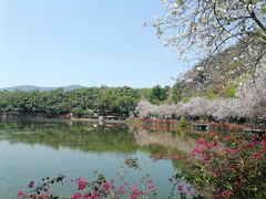 -星湖旅游景区七星岩