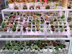 -KKV(深圳宏发大仟里店)