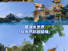 -美的鹭湖森林度假区