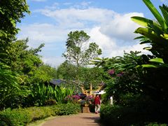 -西双版纳勐泐文化旅游区