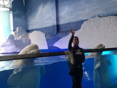 -秦皇岛乐岛海洋王国