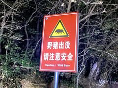 -紫金山山顶公园