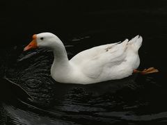 -三里河公园